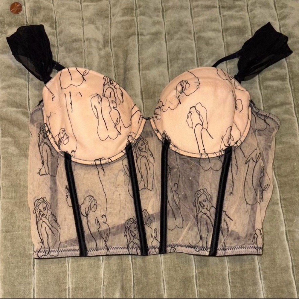 Sheer Mesh Bustier Top in Blush and Black